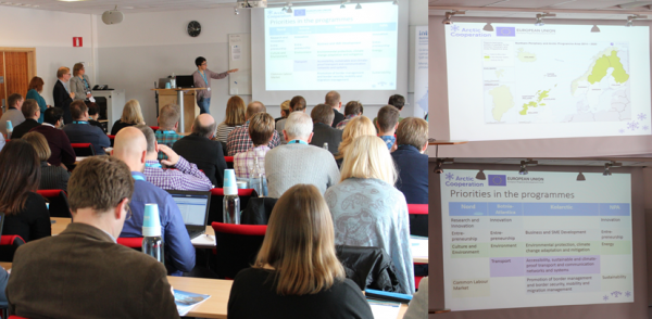 Arctic cooperation programmes