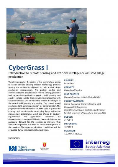 poster cybergrass